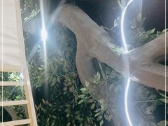 -金三可市井水煮鱼(金碧园店)