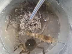 -粮心小农·大头虾亲子生态园(长发店)