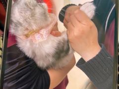 -美联众合动物医院·24h京西诊疗中心