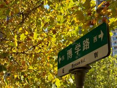 -桃花岭景区