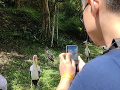 -吉隆坡雀鸟公园