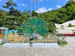 -西双版纳原始森林公园