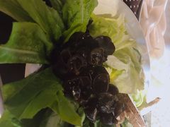 -老诚一锅·羊蝎子(广渠门外店)