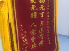 -博特宠物医院24h犬猫全科.骨科·异宠
