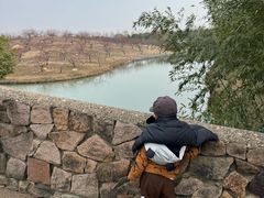 -乌村