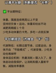 -Fundi张玉珊修身堂·indiba·BTL科技瘦身