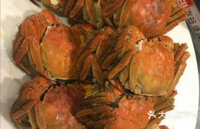 Premium Large Crab