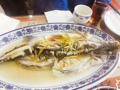 清蒸白水鱼-洞天食府(北大街店)