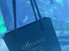 -亚特兰蒂斯•OSSIANO奥西亚诺海底餐厅