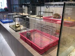 -Moni星球萌宠·小马宝莉·灵蛇·高端高阶全萌宠互动体验俱乐部(红豆国际广场店)