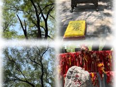 -大槐树寻根祭祖园