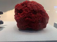 -湖南省地质博物馆