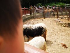 -无锡动物园·太湖欢乐园