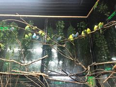 -太奥幻太奇海洋馆