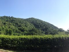 -火炉山森林公园