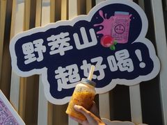 -野萃山·潮汕厚果汁(十亩地店)