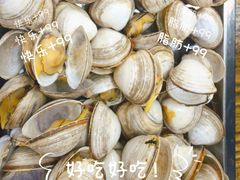-赵老蒯土窑坑烤