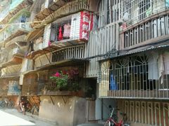 -猫咪博物馆(顶澳仔猫街店)