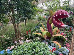 -沈阳植物园