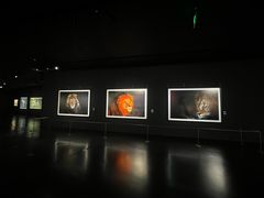 -罗红摄影艺术馆