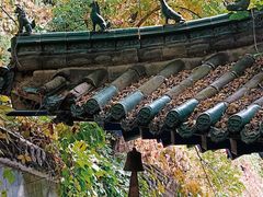 -白塔山公园