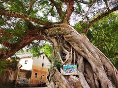 -梅州天地人花园酒店(梅县人民广场店)