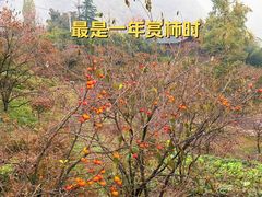 -丹山赤水风景名胜区
