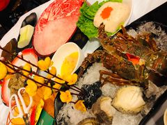 -鲜入围煮花胶鸡海鲜火锅