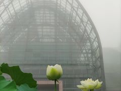 -南山植物园