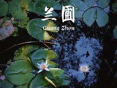 -广州兰圃