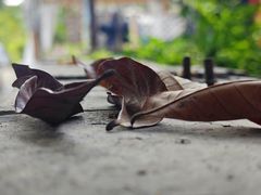 -三溪村