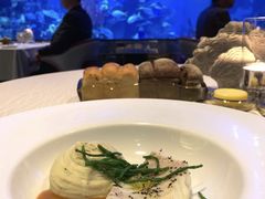 -迪拜帆船酒店海底餐厅