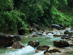 -广州白江湖森林公园