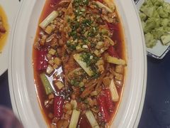 -川白楼·老成都院坝川菜鱼鲜馆(马鞍路店)