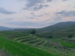 -牙胡梯田