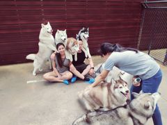 -TrueLove @ Neverland (Husky Cafe)