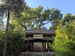 -玉泉观