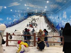 -世界之窗阿尔卑斯冰雪世界