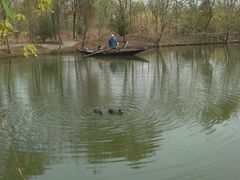 -溱湖国家湿地公园