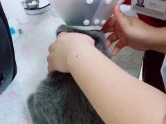 -美联众合动物医院·24h京西诊疗中心