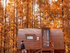 -黄海国家森林公园