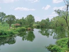 -西溪国家湿地公园