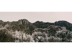 -大岭沟猕猴桃谷风景区