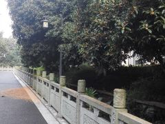 -东航云逸酒店(九溪烟树店)