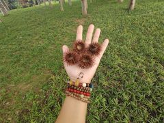 -石家庄市动物园