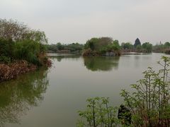 -白鹭湾湿地公园