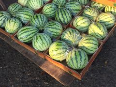 -红星农博物流中心