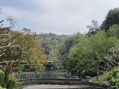 -云溪植物园