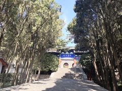 门面-蓬莱阁景区