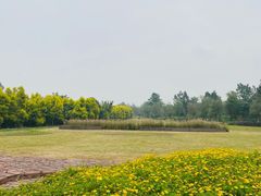 -白鹭湾湿地公园